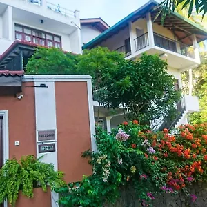  Homestay Freedom